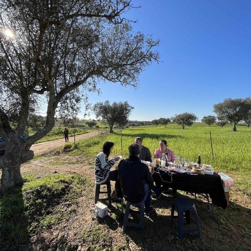 Almoço – Alentejo