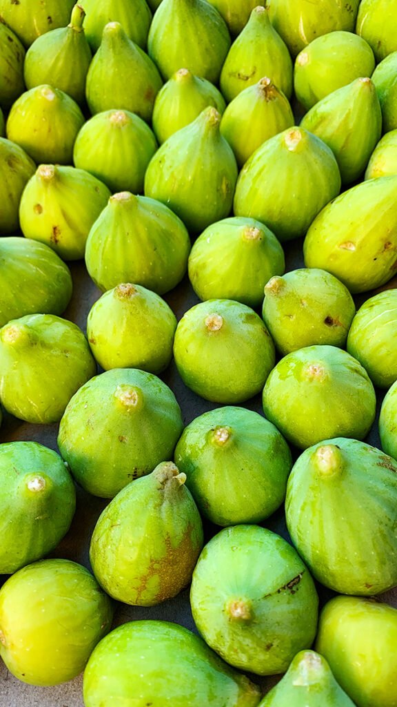 Figos verdes frescos