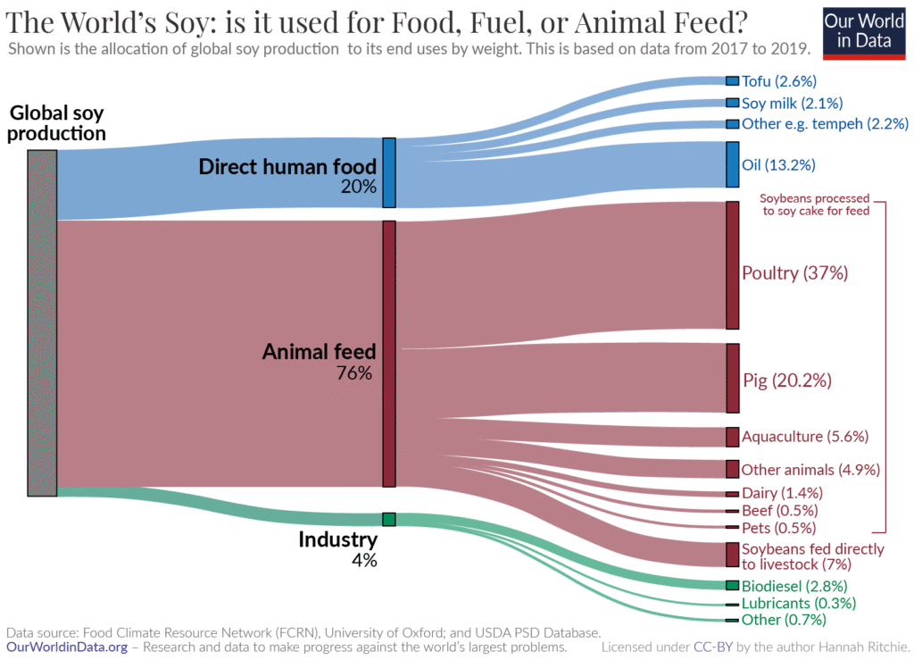 Gráfico: para que é usada a soja produzida no mundo