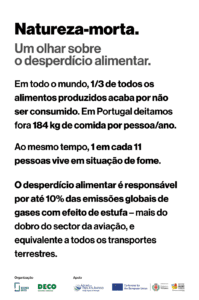 natureza-morta_tela_01